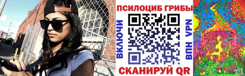 где продают наркотики  Ивангород  Галлюциногенные грибы Cubensis 